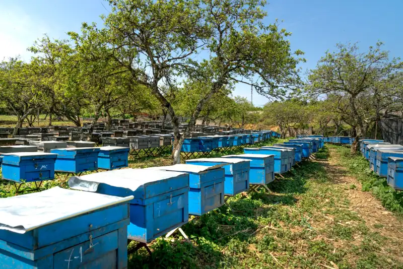 吸污车与垃圾车维保周期管理对市政作业效率的影响研究