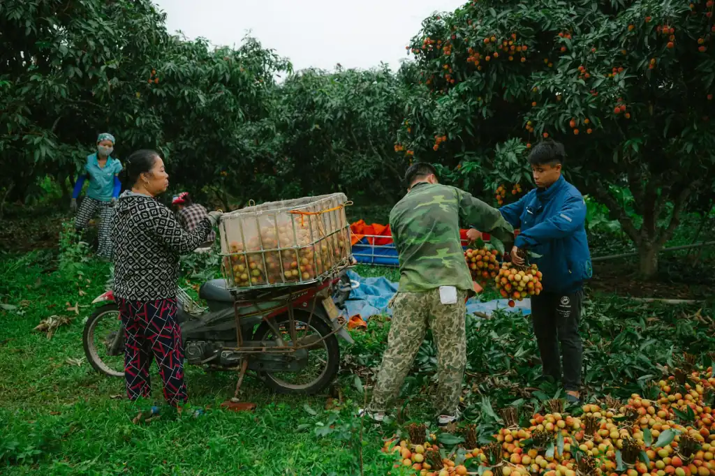 湖北洒水车选购指南:罐体容积与水泵配置对作业效率的影响
