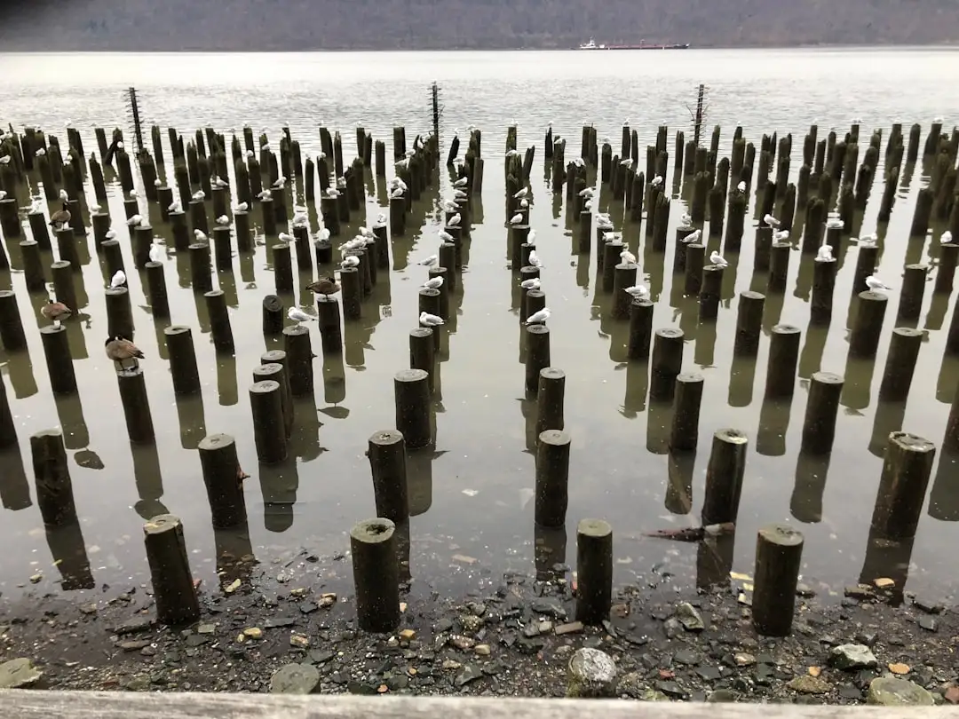 华中地区洒水车冬季防冻维护方案与常见故障排查指南
